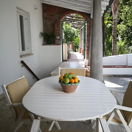 Un'oasi Tra I Limoni *