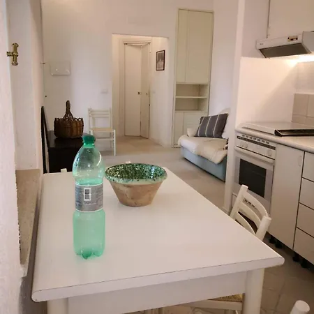 Un'oasi Tra I Limoni